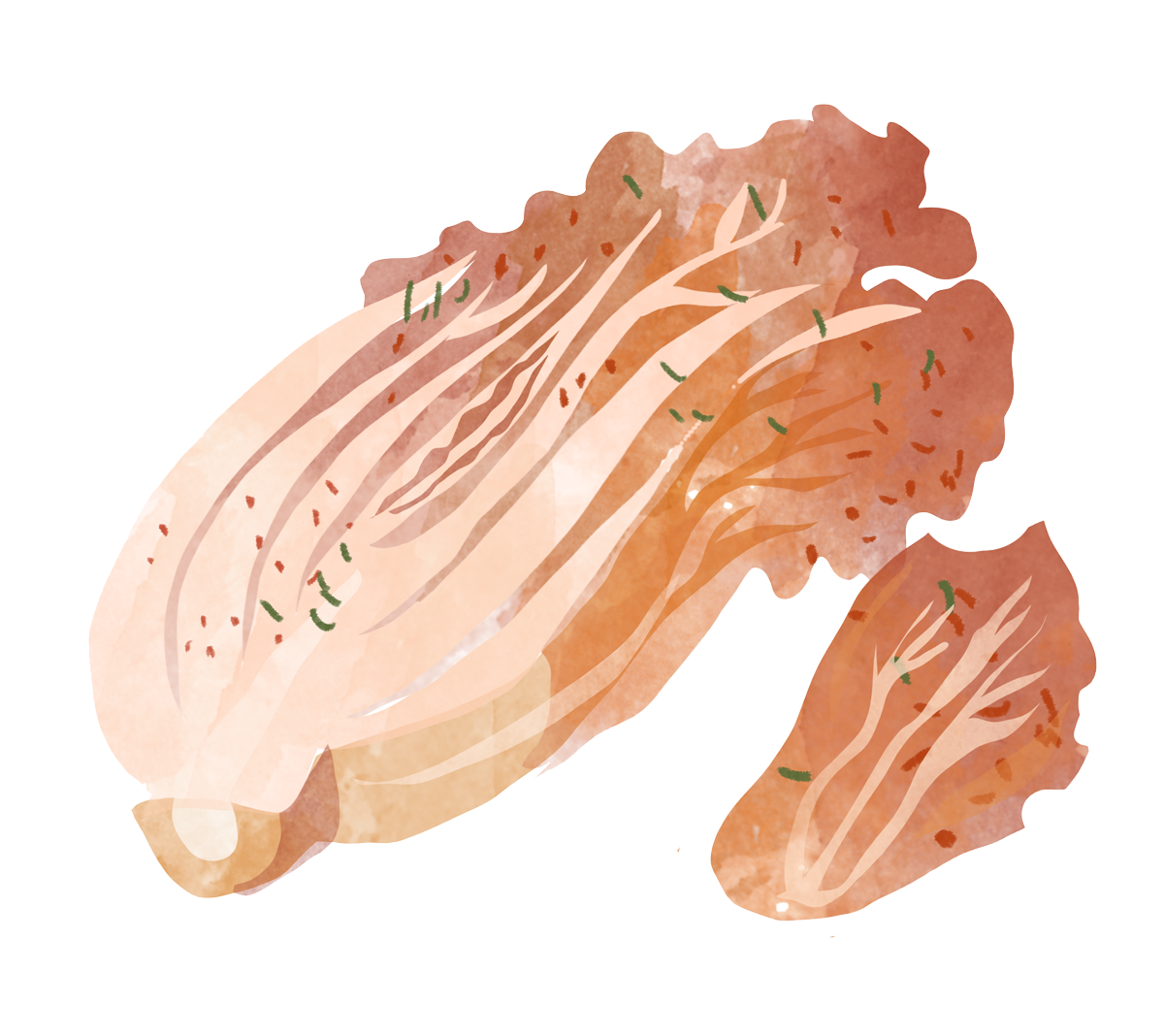 Napa Cabbage Kimchi