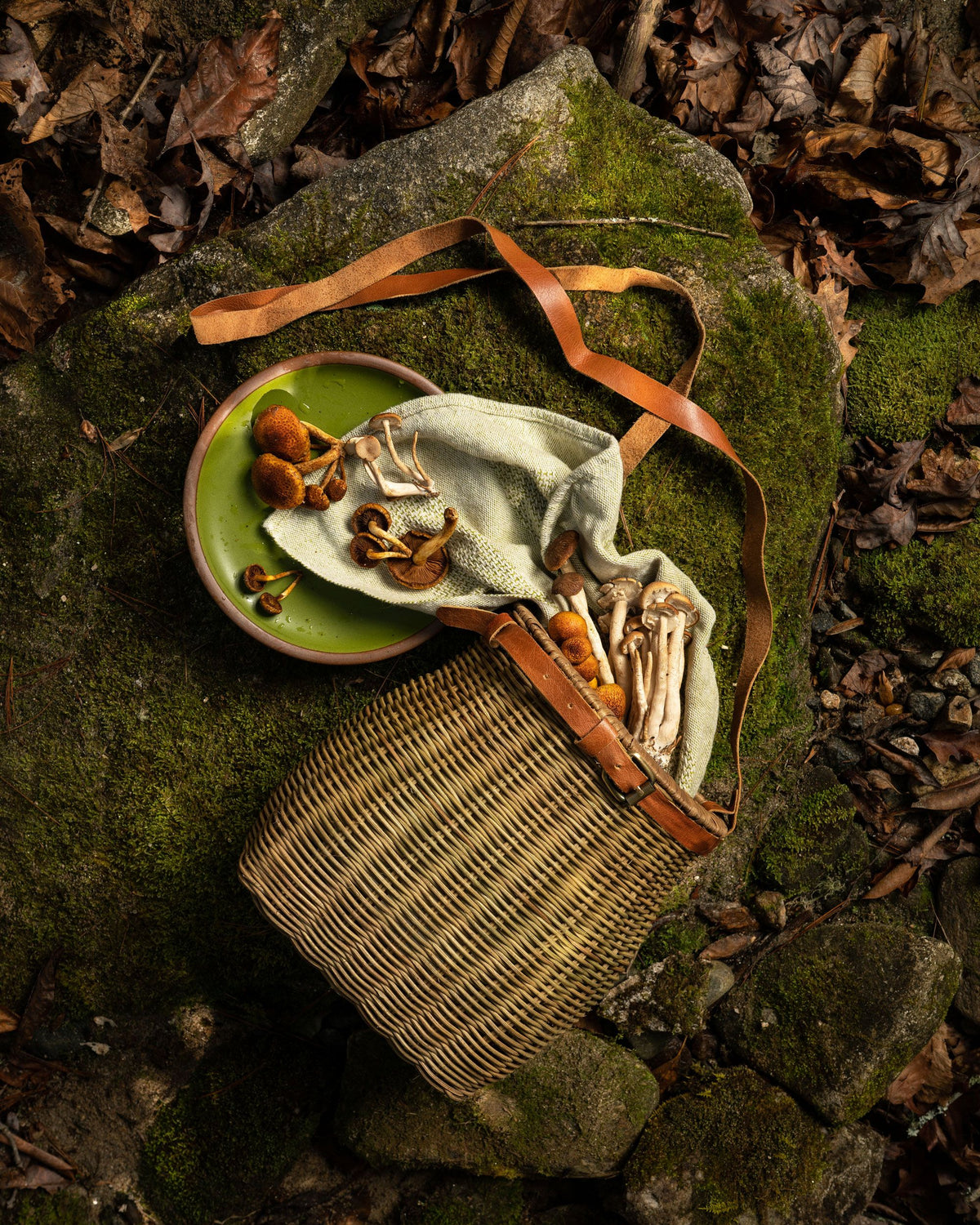 An artful arrangement of a outside basket for foraging with mushrooms spilling out onto a fern green plate