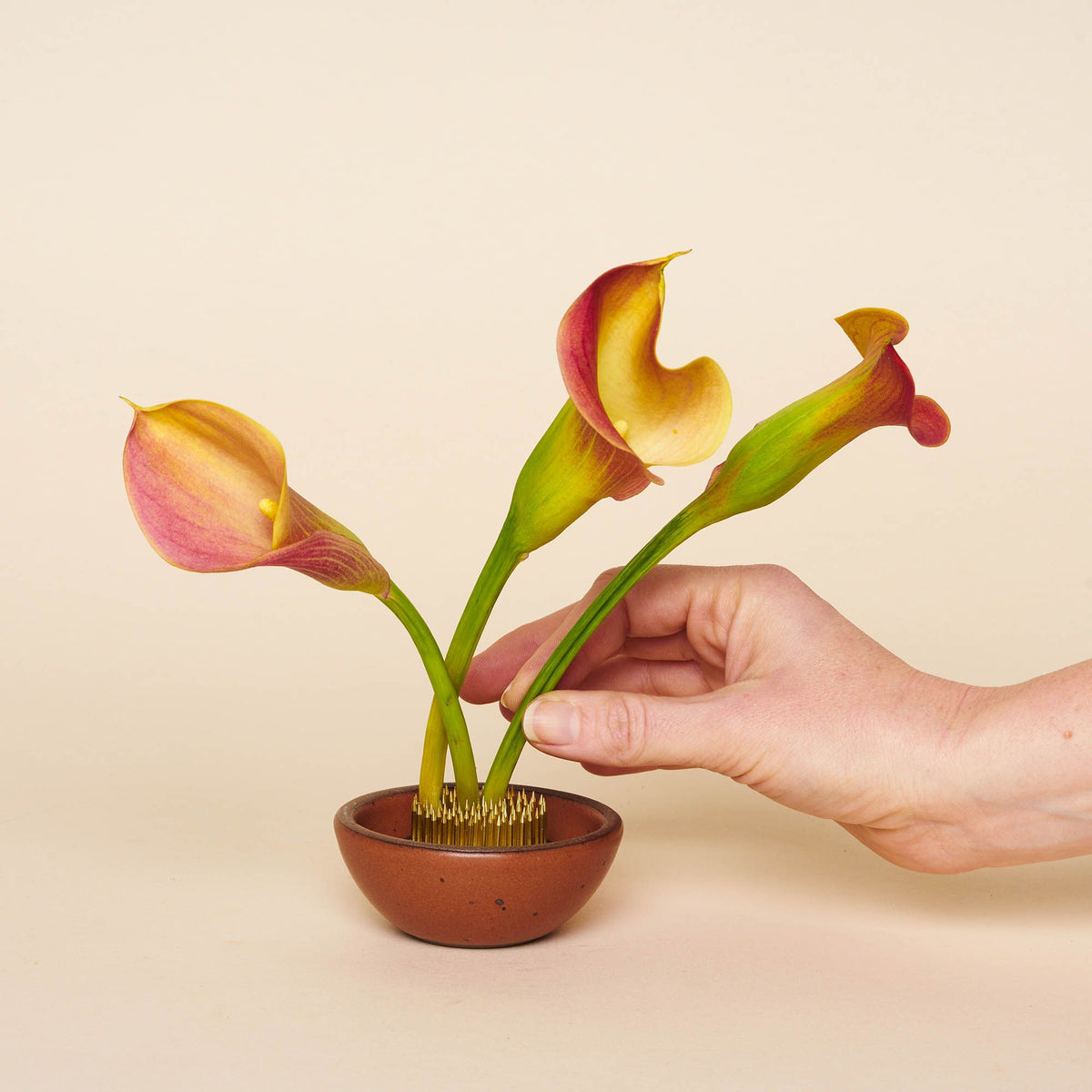 A hand placing a flower on a small "kenzan" - pin frog made of brass spikes on a flat circular base to assist in flower arrangements - sitting inside a bitty bowl.