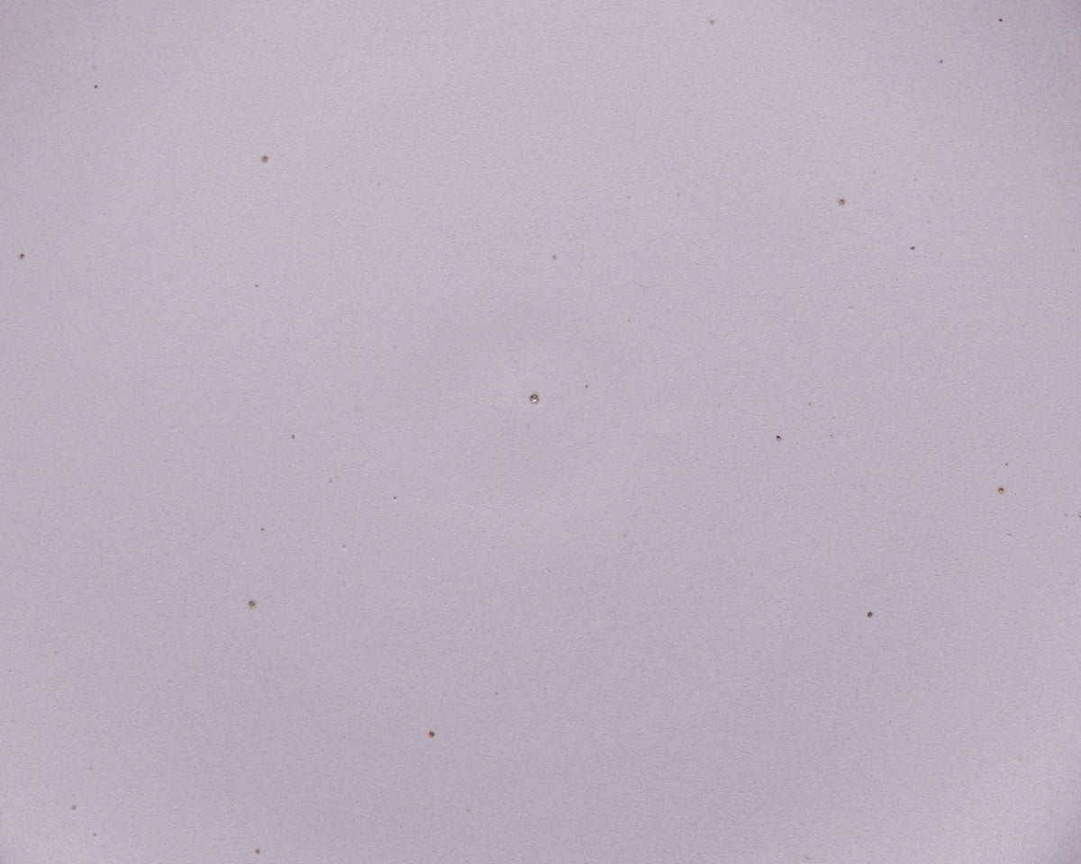 A closeup of a ceramic plate in a pastel purple color featuring iron speckles