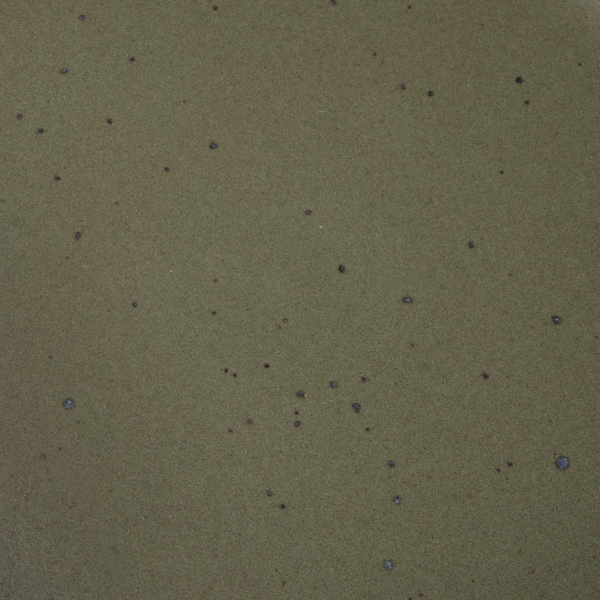 A closeup of a ceramic plate in a muted woodsy green color featuring iron speckles