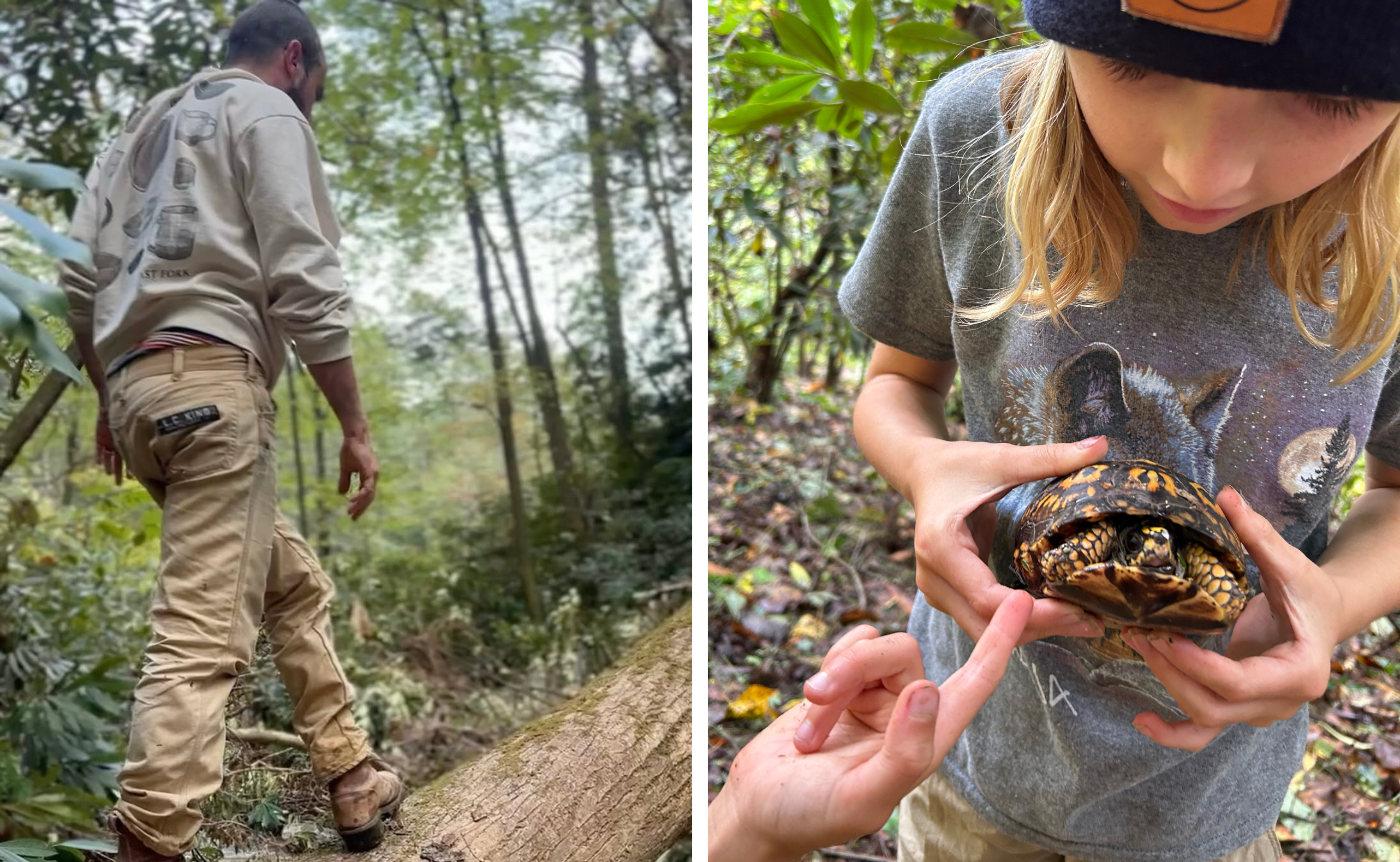Alex walks across a log on the river by his house on the left. Alex's daughter holds a turtle by the river on the right.