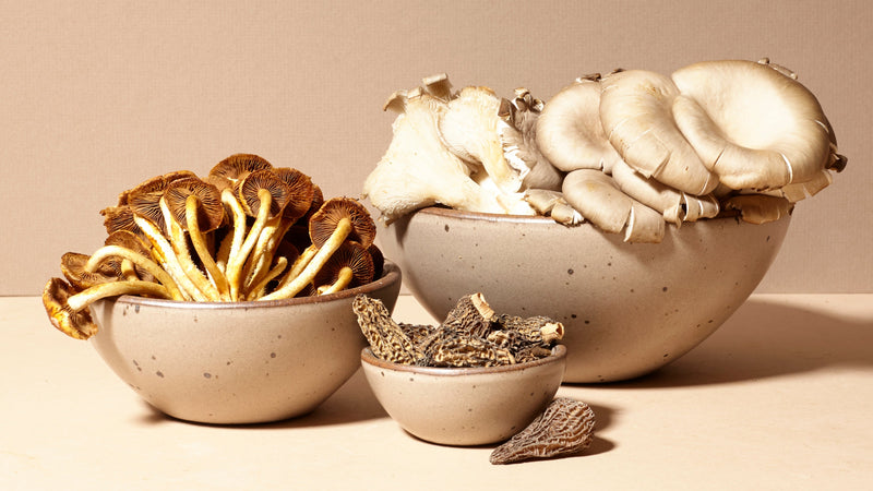 Ceramic bowls in various sizes in a pale warm brown color with mushrooms.
