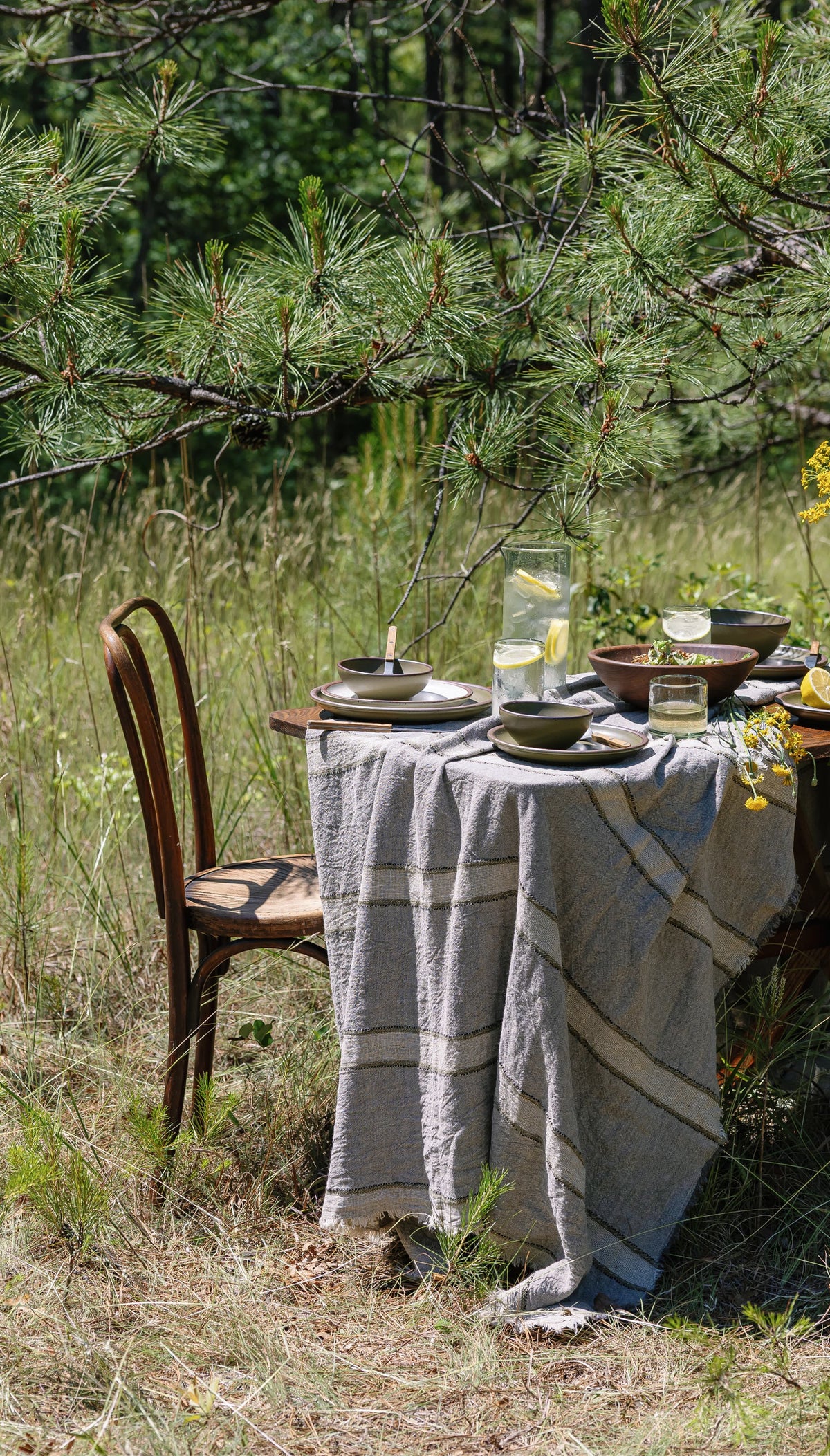 Table set for a meal in a natural outdoor setting with greenery.