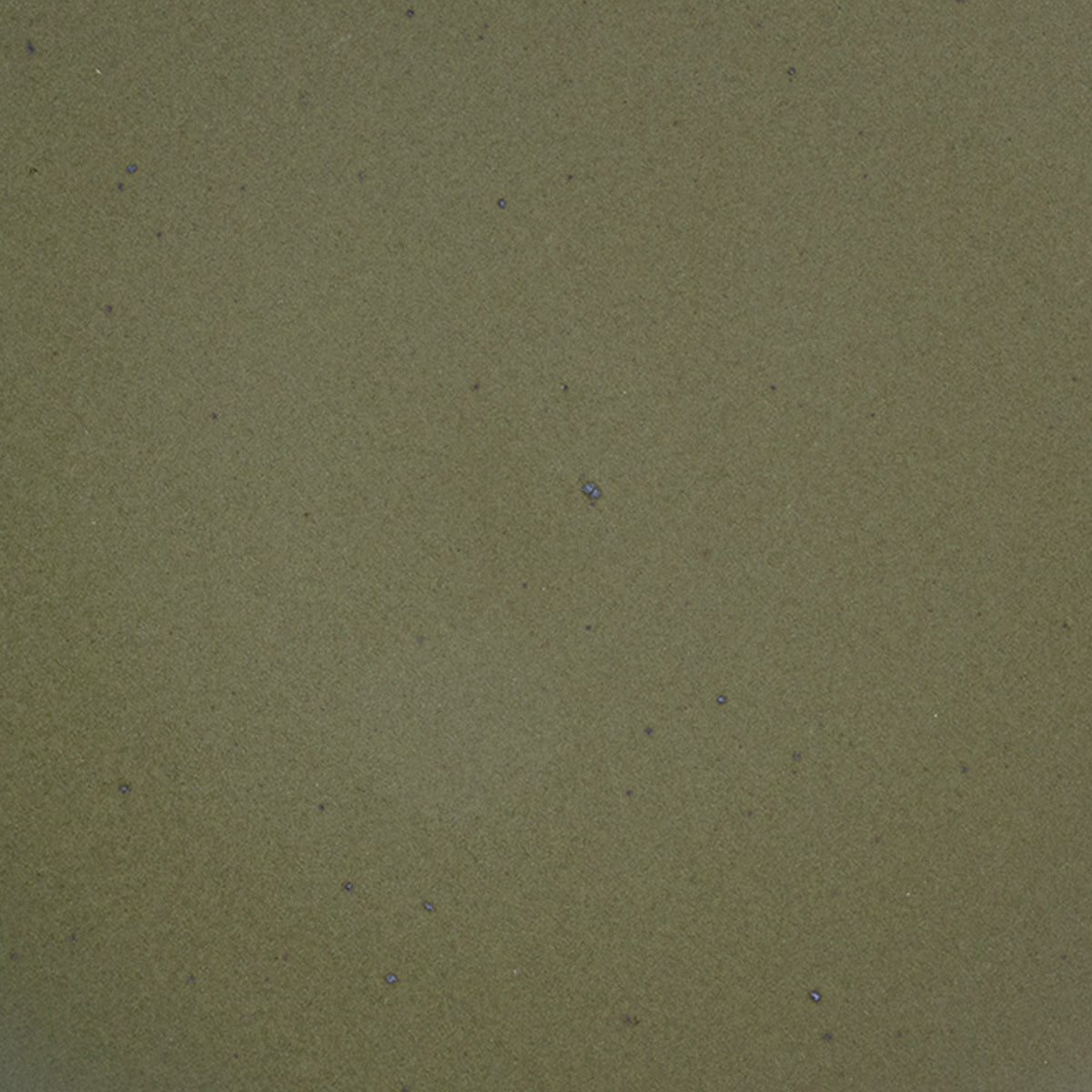 A closeup of a ceramic plate in an olive green color with iron spots