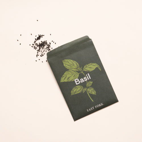 Basil seed packet with illustrated green leaves beside scattered seeds on a light background