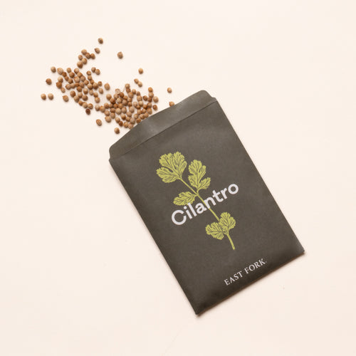 Cilantro seed packet with green herb illustration and scattered seeds on a light background.