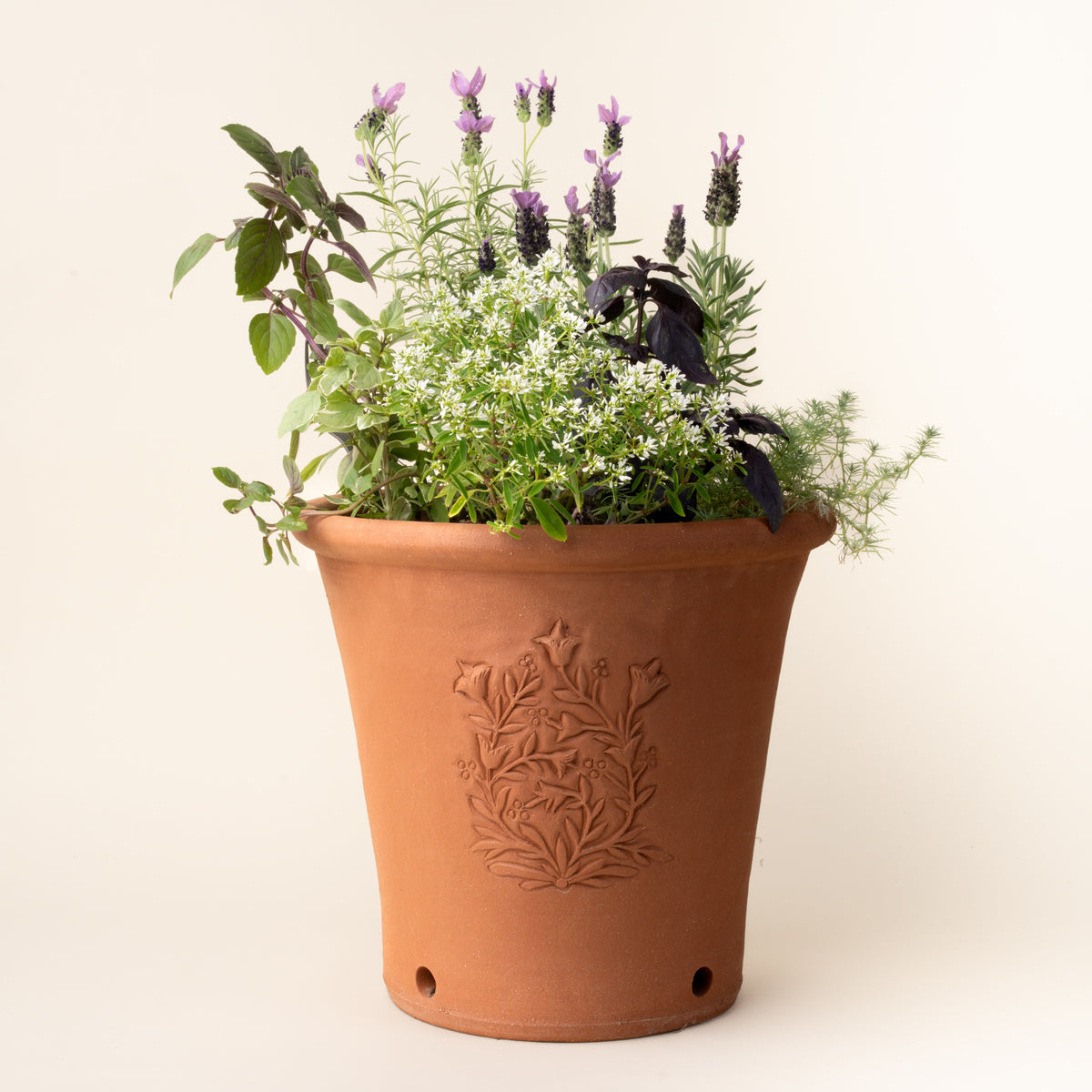 Terracotta planter with embossed floral detail filled with blooming herbs and flowers, including lavender and basil, against a light background.
