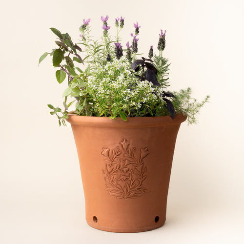 Terracotta planter with embossed floral detail filled with blooming herbs and flowers, including lavender and basil, against a light background.