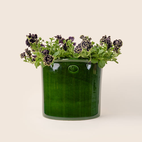 A large glossy green ceramic planter filled with dark purple flowers and green foliage.