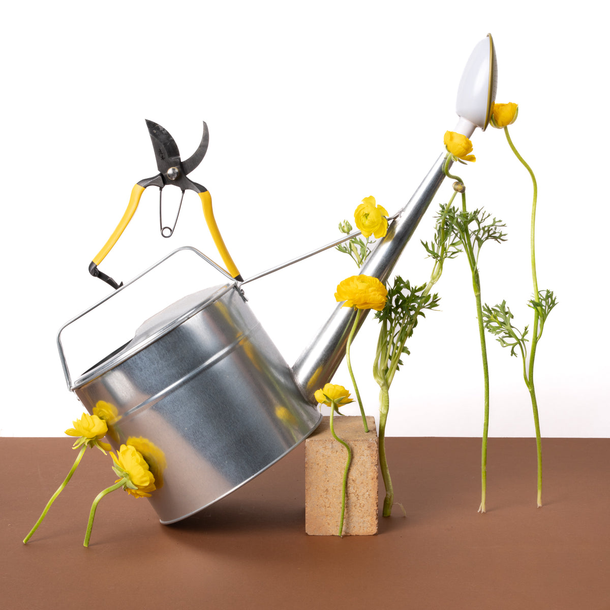 Silver watering can with yellow flowers and pruners on a brown and white background