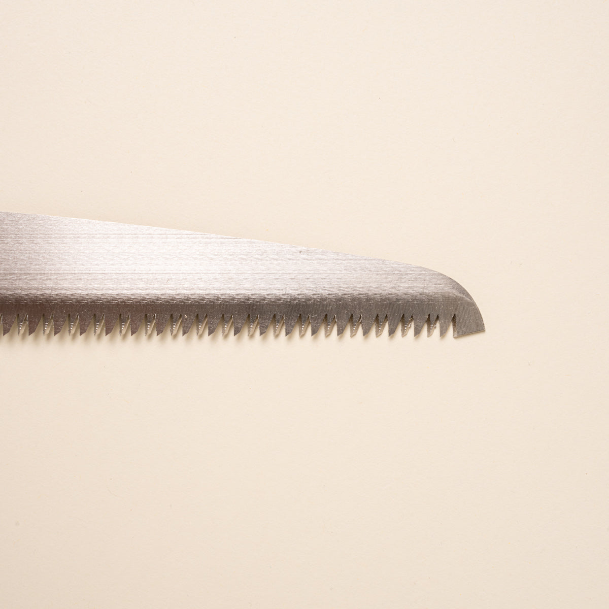 Closeup of the blade of a garden pruning saw.