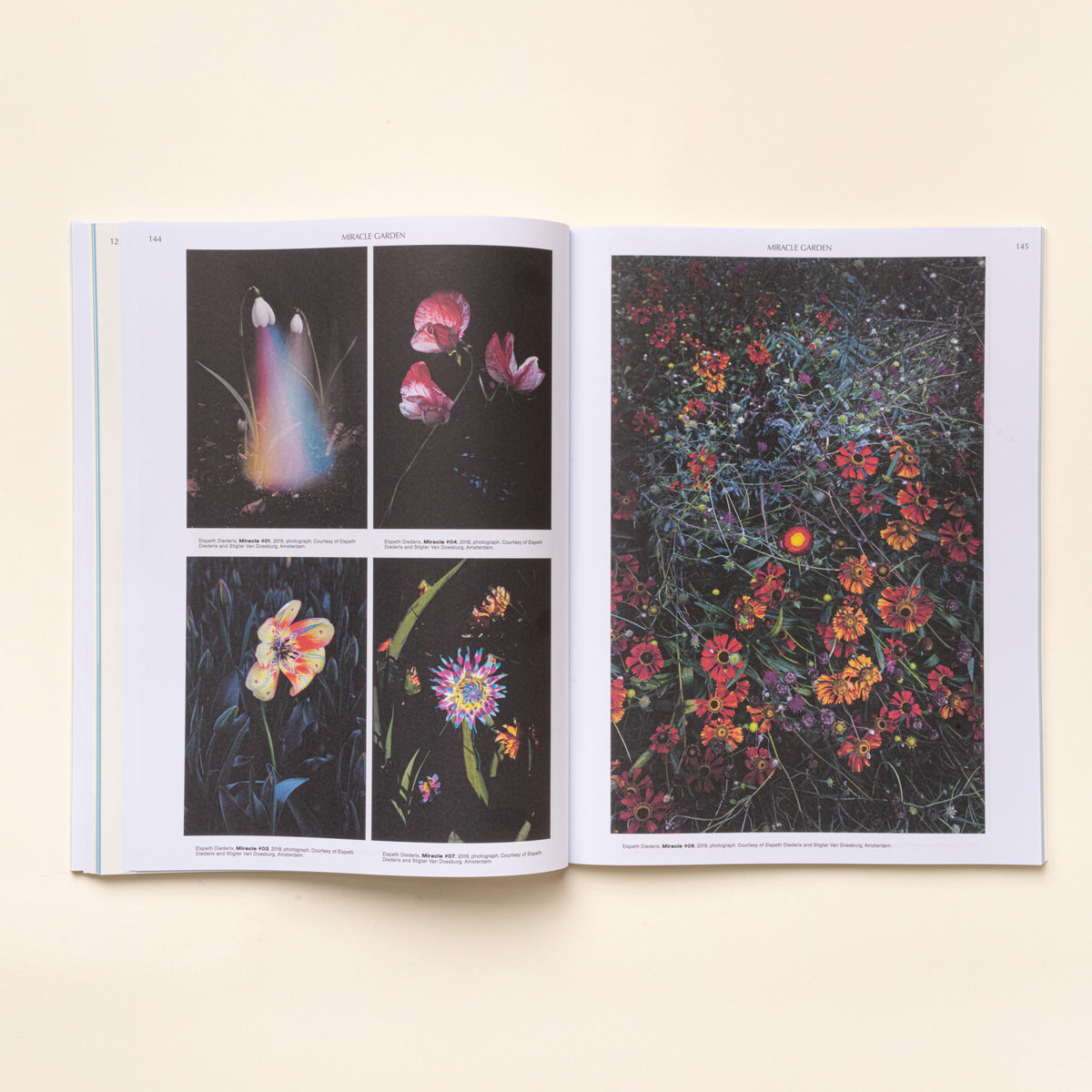 Open book spread with artistic flower photos on left and dense, colorful wildflower garden on right.