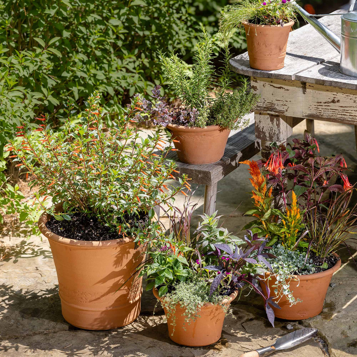 Group of 5 Whichford terracotta planters arranged in a garden setting, filled with colorful flowers, herbs, and ornamental foliage next to a potting table a with watering can.