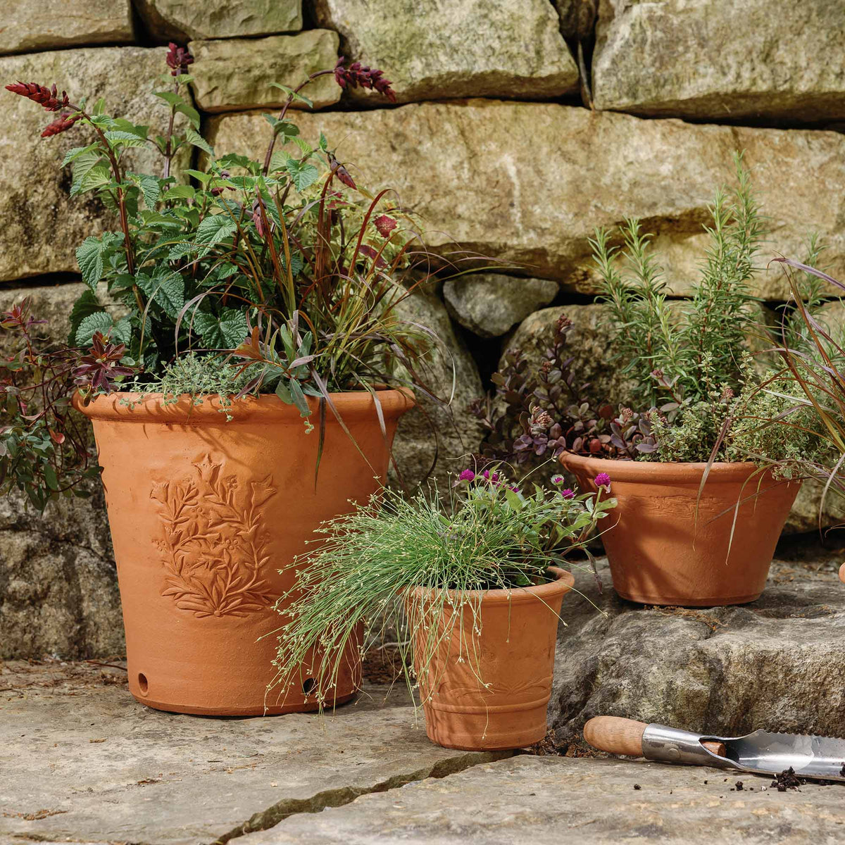 Group of Whichford terracotta planters arranged in a garden setting, filled with colorful flowers, herbs, and ornamental foliage.