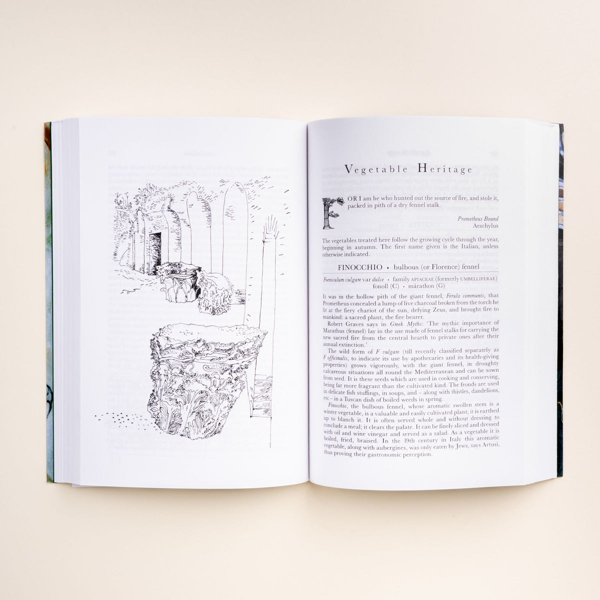 Open book showing 'Vegetable Heritage' chapter with text on fennel and a black-and-white illustration