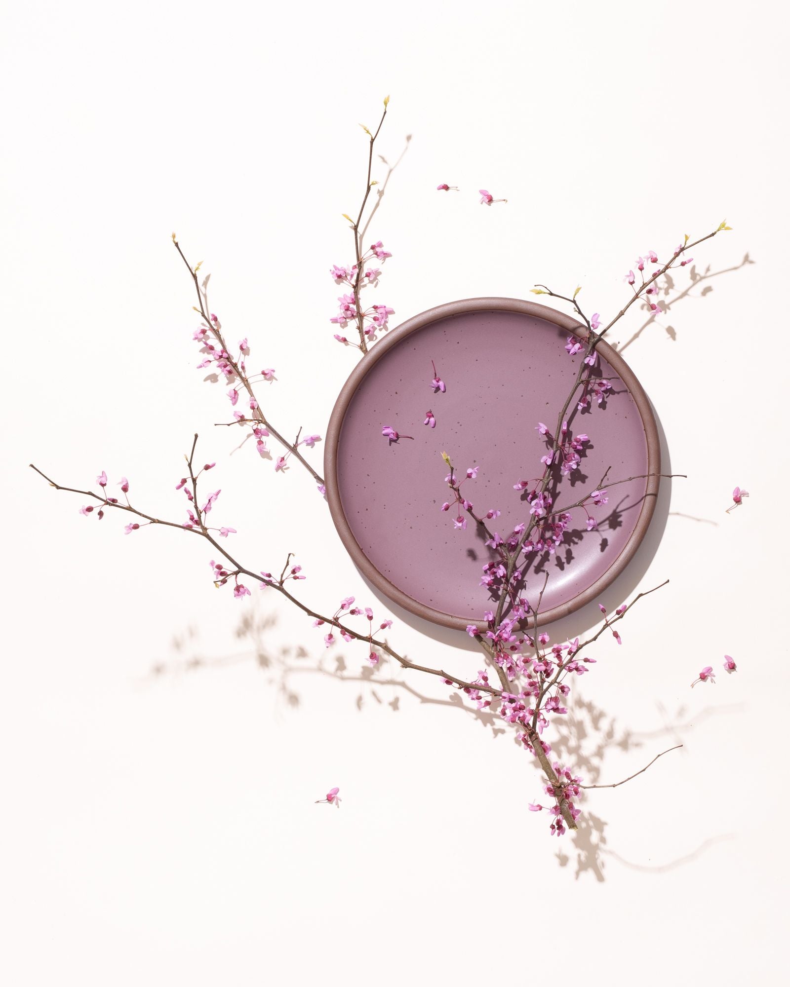A ceramic plate in soft mauve purple with a colorful purple branch with tiny flowers on top.