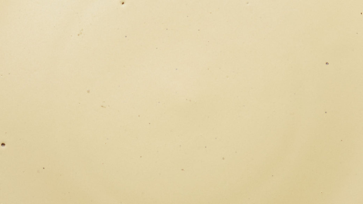 A closeup of a ceramic plate in a light butter yellow color with subtle iron speckles throughout