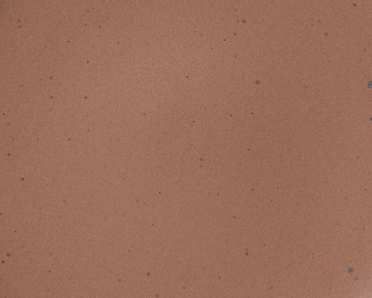 A closeup of a ceramic plate in a warm brown color featuring iron speckles