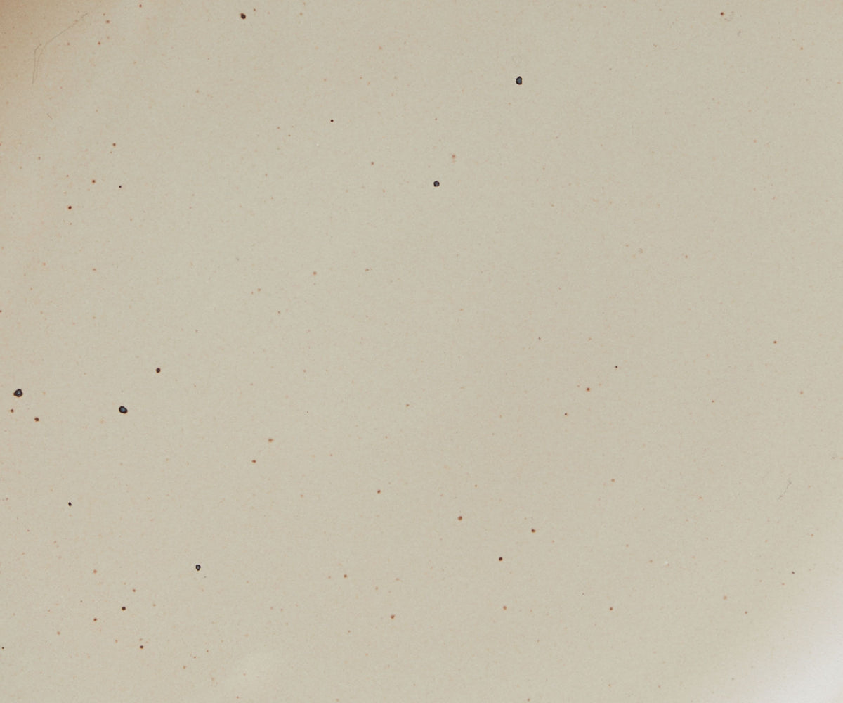 A closeup of a ceramic plate in a light, mellow beige color with iron speckles throughout