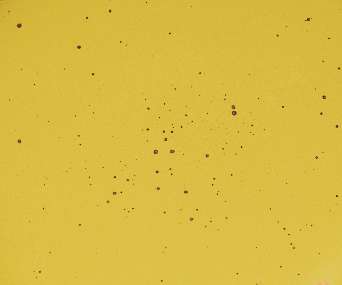 A closeup of a ceramic plate in a bright yellow color with iron speckles throughout