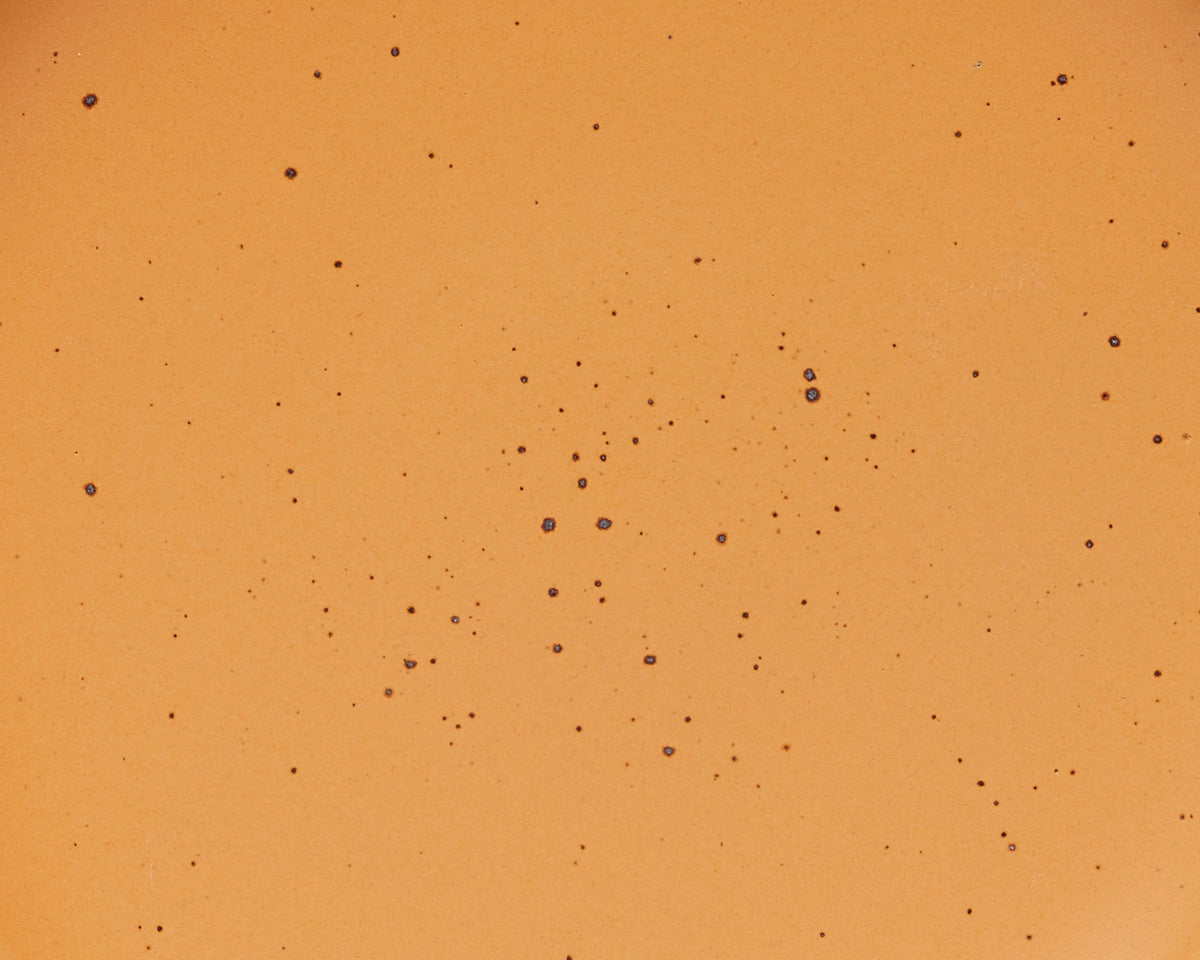 A closeup of a ceramic plate in a muted warm orange color with iron speckles throughout