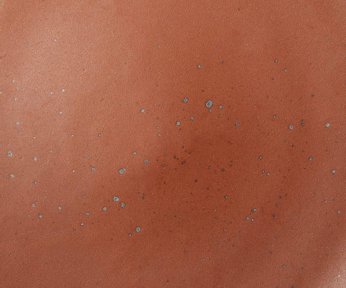 A closeup of a ceramic plate in a cool terracotta color with iron speckles throughout