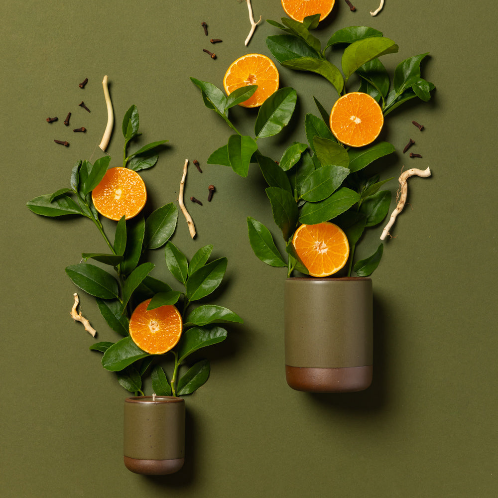 Small and large olive green ceramic candles artfully arranged with orange, petitgrain and clove coming out of each.