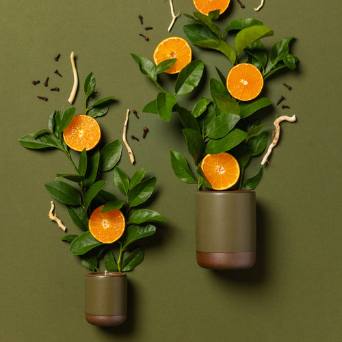 Small and large olive green ceramic candles artfully arranged with orange, petitgrain and clove coming out of each.