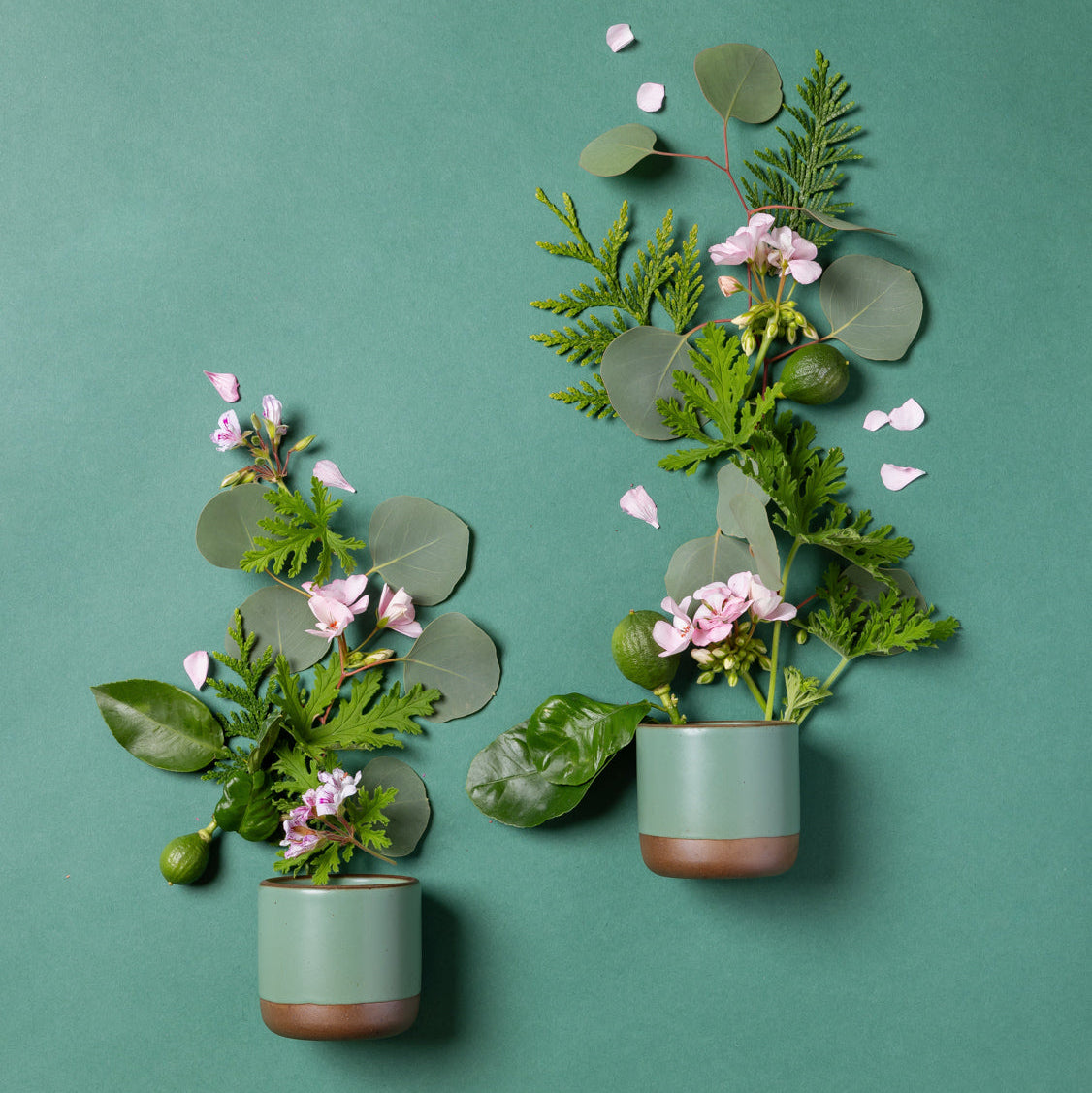 An overhead view of a green ceramic candle artfully arranged with bergamot, eucalyptus, rose geranium and cypress.