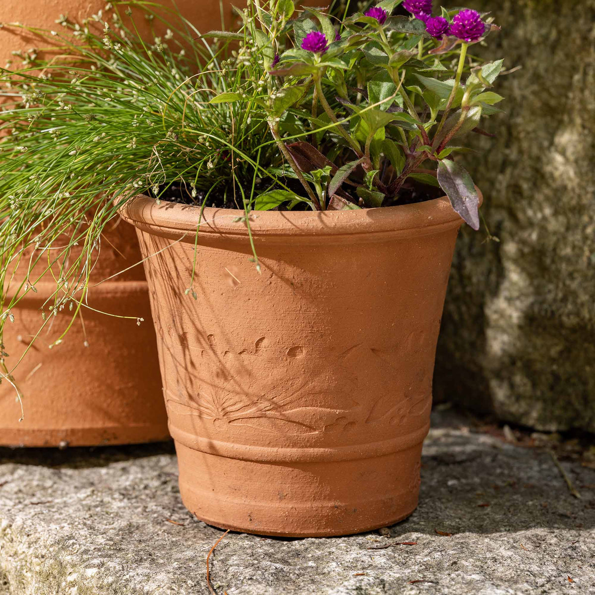 Small terracotta planter with embossed botanical detailing, planted with ornamental grasses and purple globe flowers in an outdoor garden setting.