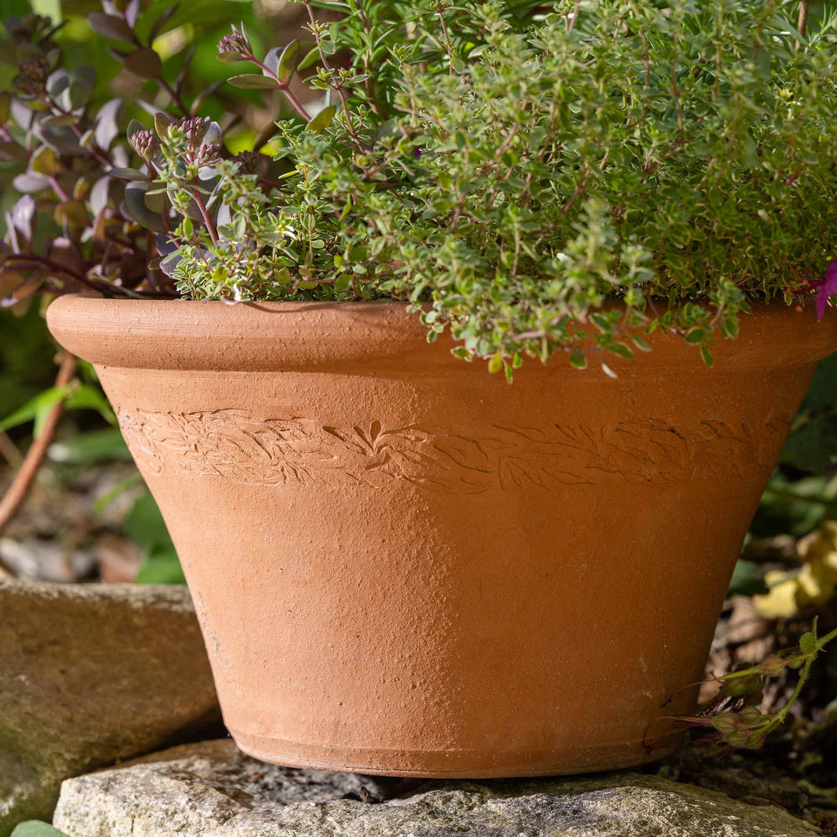 Small terracotta bowl planter with embossed botanical detailing, filled with herbs and greenery in an outdoor garden setting.