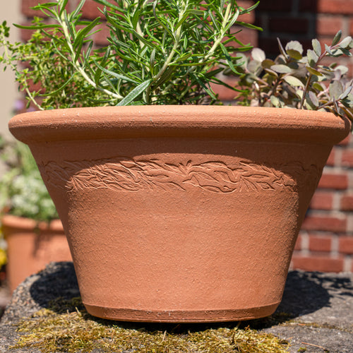 Small terracotta bowl planter with embossed botanical detailing, filled with herbs outside.