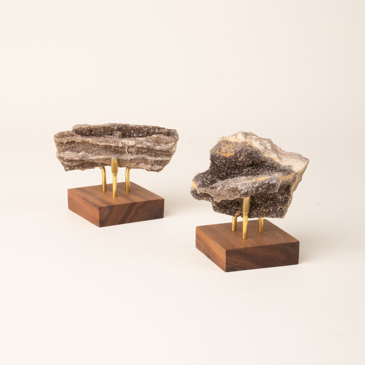 Two rough, natural brilliant petrified wood with sparkling crystal formations, mounted on a small wooden bases with three brass supports, displayed against a plain cream background.