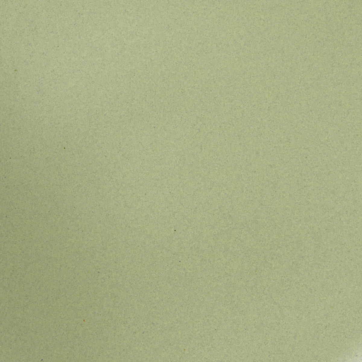 A closeup of a ceramic plate in a calming sage green color with a few subtle iron speckles throughout