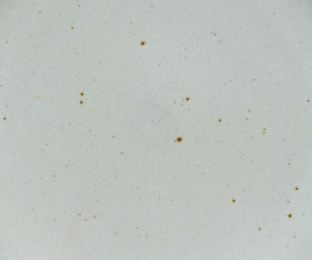 A closeup of a ceramic plate in a light gray color featuring iron speckles