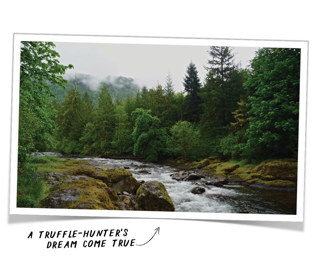 A photo of Willamette Valley with a caption that reads 