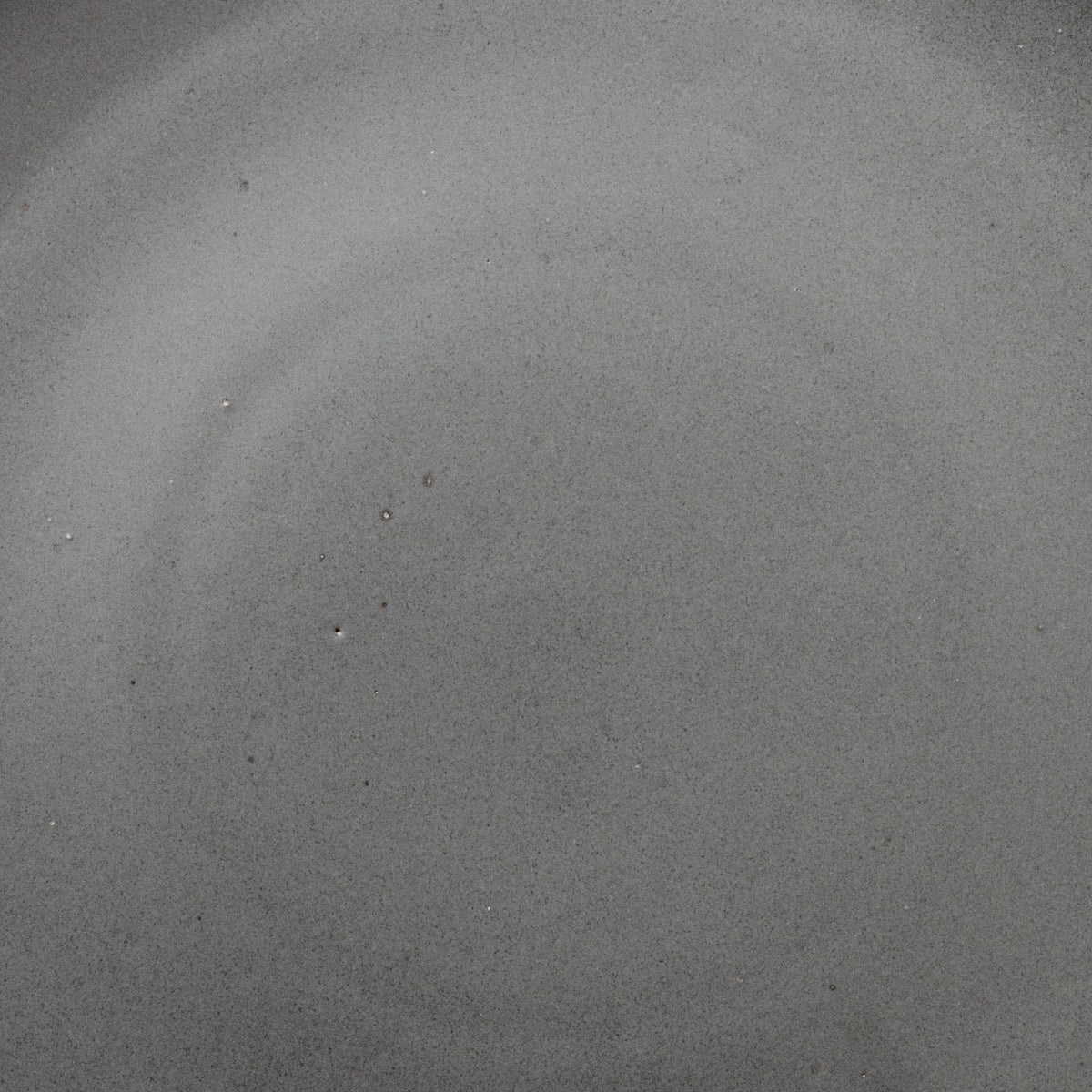 A closeup of a ceramic plate in a charcoal grey color with subtle iron speckles throughout