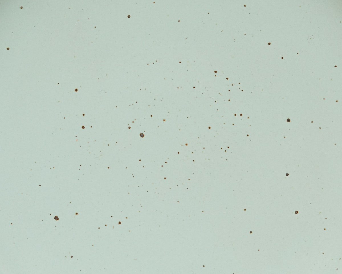 A closeup of a ceramic plate in a soft light aqua color with iron speckles throughout