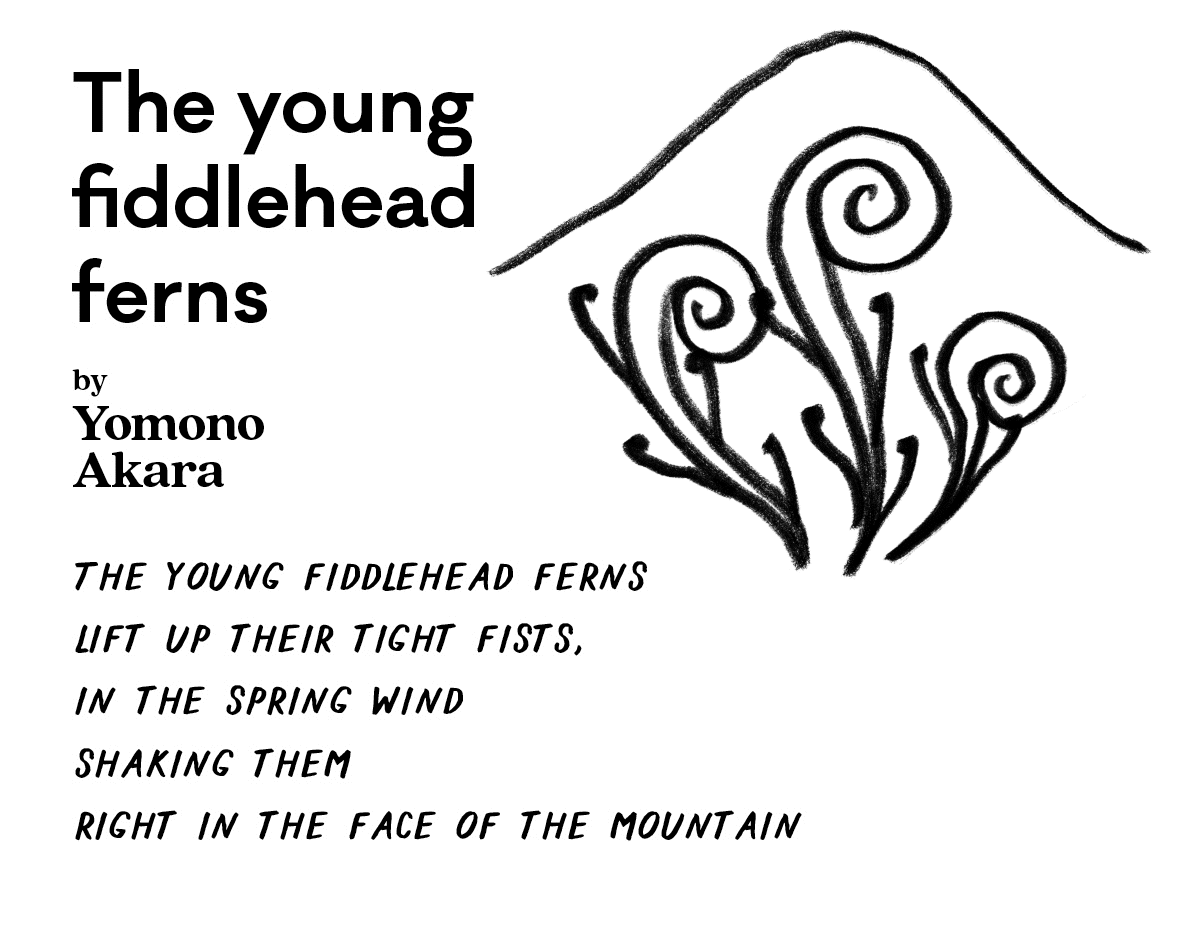 A graphic with a fern drawing and text that reads