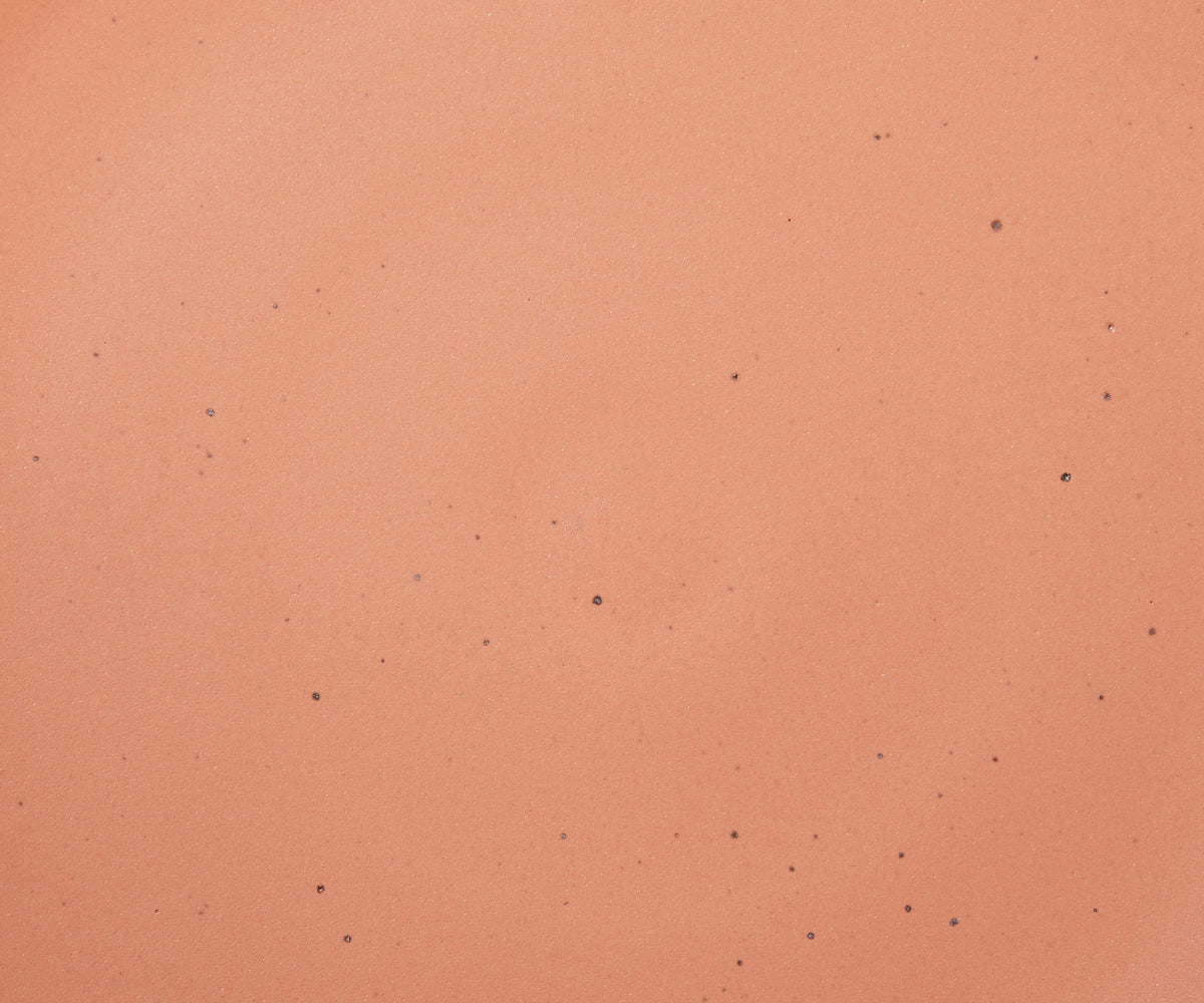 A closeup of a ceramic plate in a warm peach color featuring iron speckles