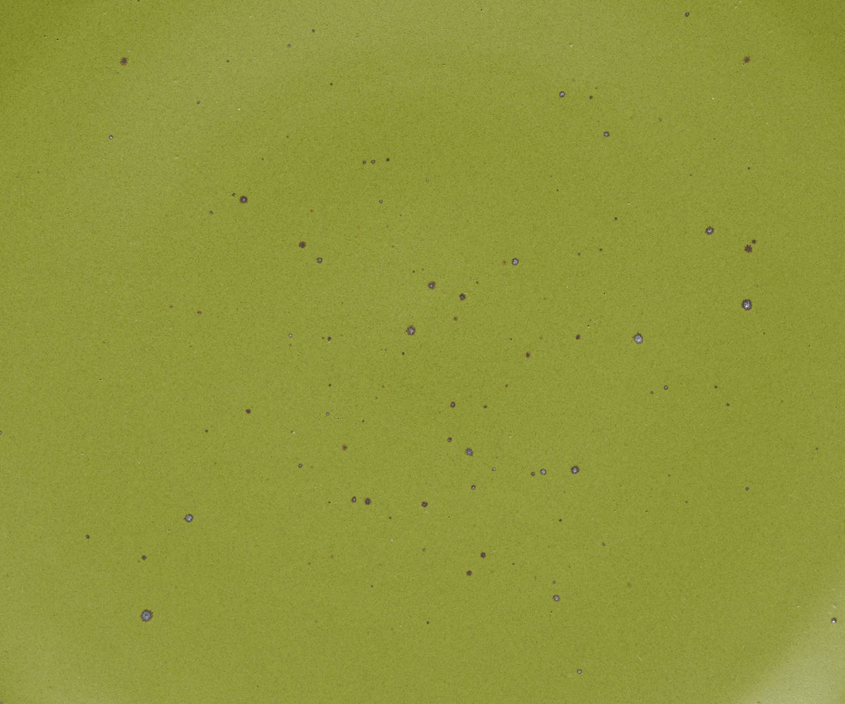 A closeup of a ceramic plate in a warm fern green color with iron speckles throughout