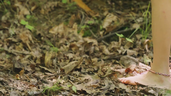 A video of Lui foraging mushrooms outside